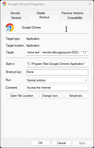 Adding the remote debugging flag